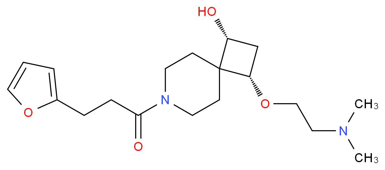 CAS_ 分子结构