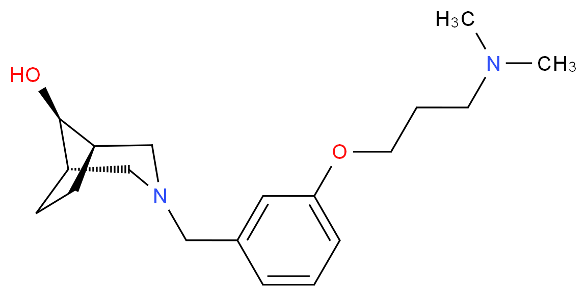  分子结构