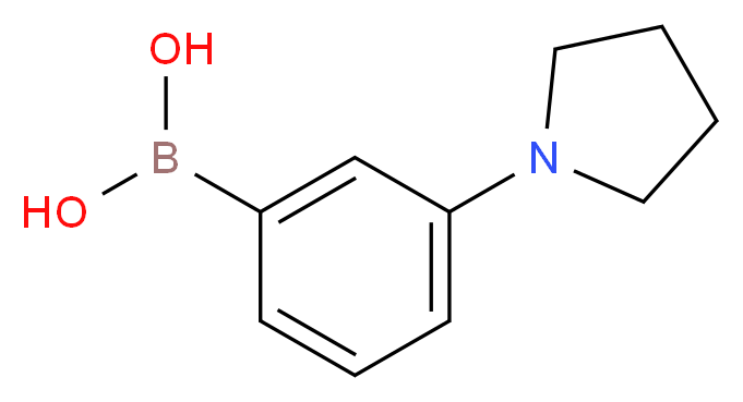 [3-(pyrrolidin-1-yl)phenyl]boronic acid_分子结构_CAS_659731-18-7