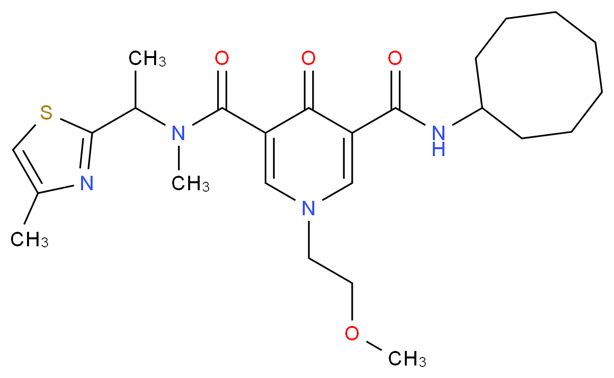  分子结构
