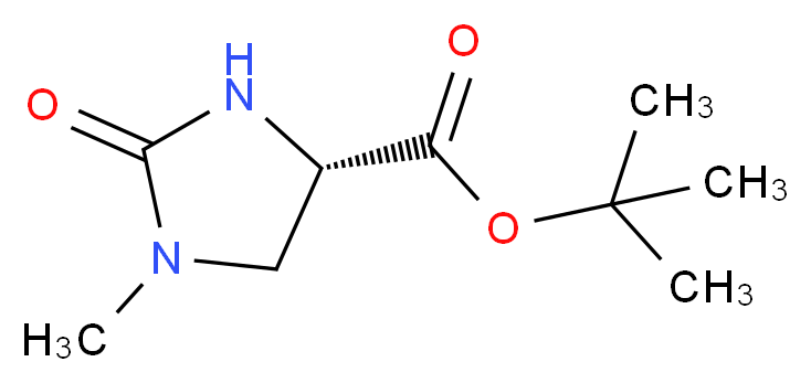 (4S)-1-Methyl-2-oxo-4-imidazolidinecarboxylic Acid, tert-Butyl Ester_分子结构_CAS_83056-79-5)