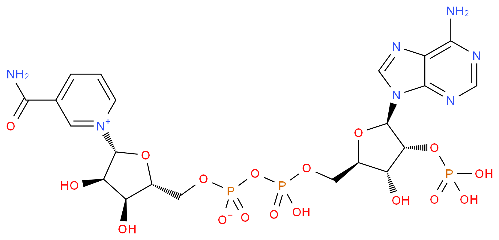 1-[(2R,3R,4S,5R)-5-{[({[(2R,3R,4R,5R)-5-(6-amino-9H-purin-9-yl)-3-hydroxy-4-(phosphonooxy)oxolan-2-yl]methoxy}(hydroxy)phosphoryl phosphonato)oxy]methyl}-3,4-dihydroxyoxolan-2-yl]-3-carbamoyl-1λ<sup>5</sup>-pyridin-1-ylium_分子结构_CAS_53-59-8