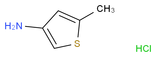 5-Methylthiophen-3-amine hydrochloride_分子结构_CAS_24030-01-1)