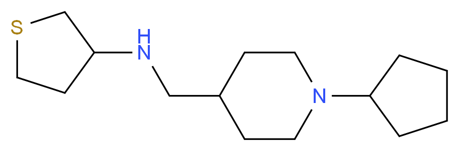 N-[(1-cyclopentylpiperidin-4-yl)methyl]tetrahydrothiophen-3-amine_分子结构_CAS_)