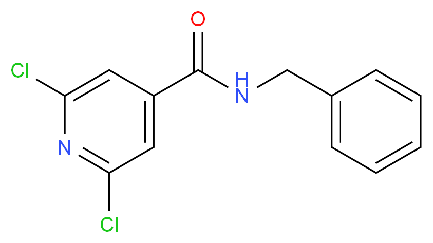 N4-Benzyl-2,6-dichloroisonicotinamide_分子结构_CAS_)
