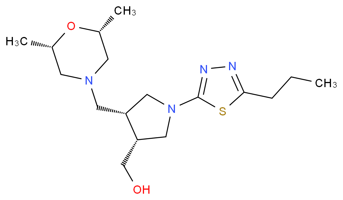  分子结构