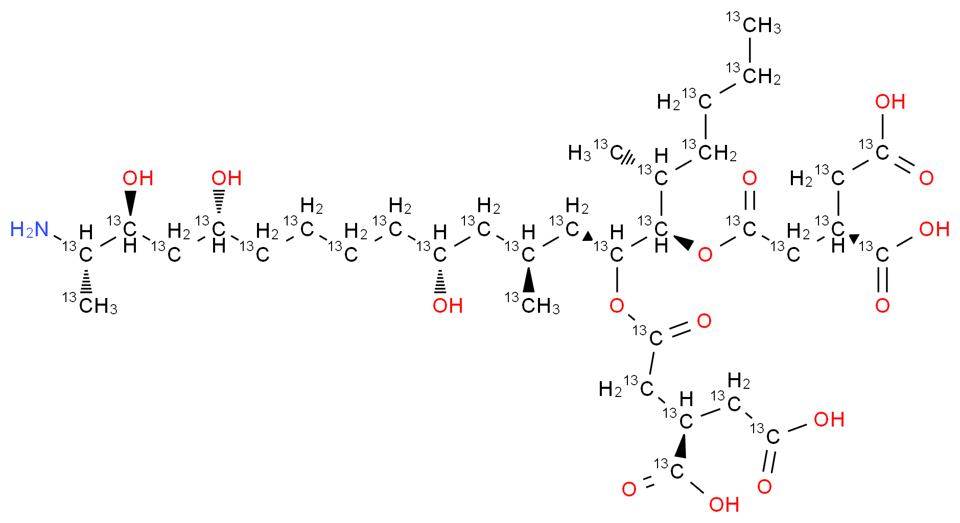 CAS_ 分子结构