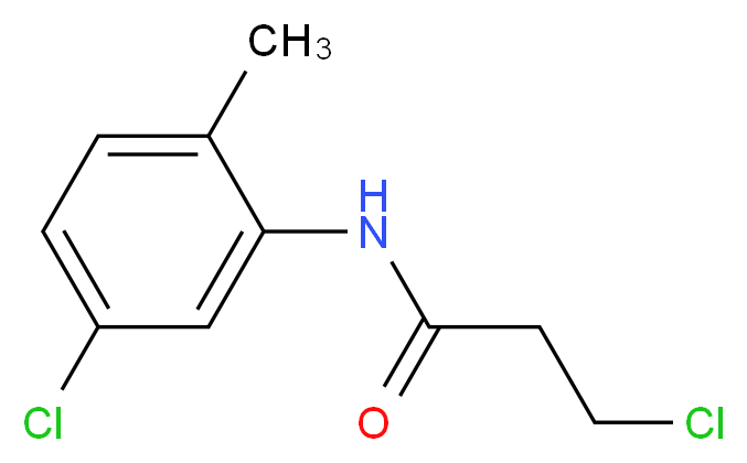 3-chloro-N-(5-chloro-2-methylphenyl)propanamide_分子结构_CAS_544682-32-8