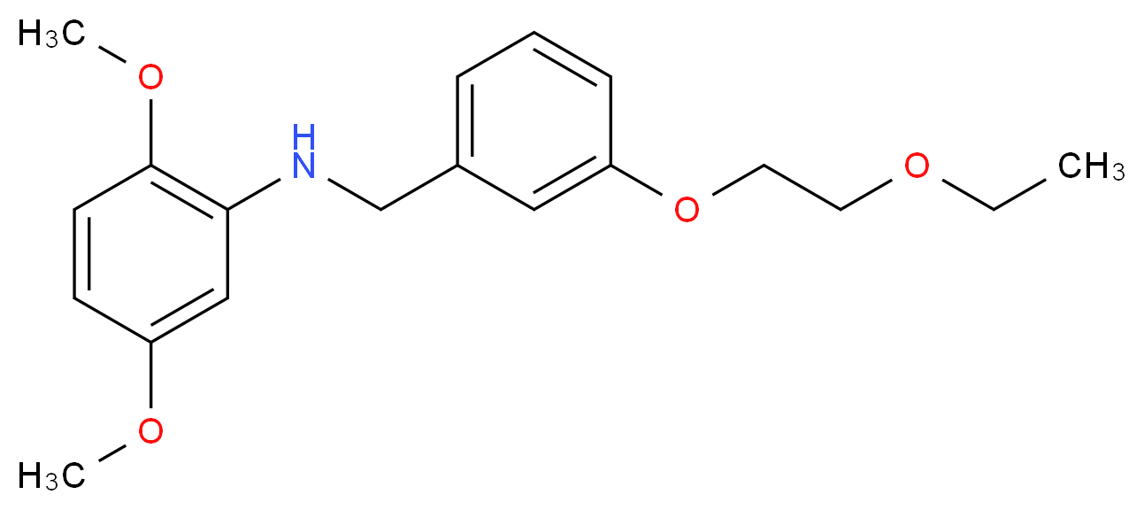 N-[3-(2-Ethoxyethoxy)benzyl]-2,5-dimethoxyaniline_分子结构_CAS_)