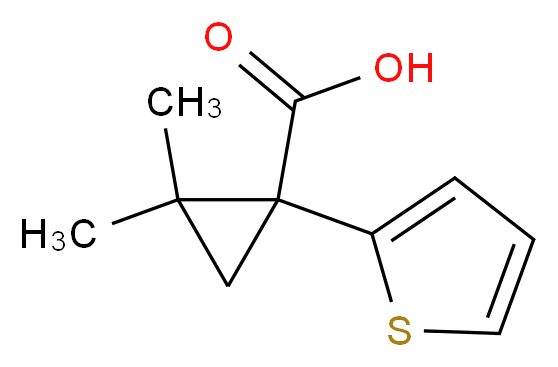 2,2-dimethyl-1-(thiophen-2-yl)cyclopropane-1-carboxylic acid_分子结构_CAS_915919-98-1