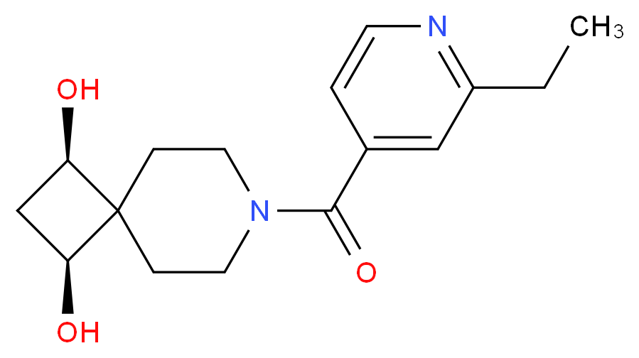  分子结构