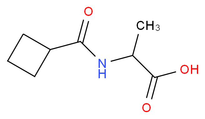N-(Cyclobutylcarbonyl)alanine_分子结构_CAS_)