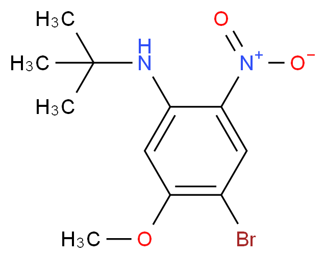 4-bromo-N-tert-butyl-5-methoxy-2-nitroaniline_分子结构_CAS_1261988-45-7