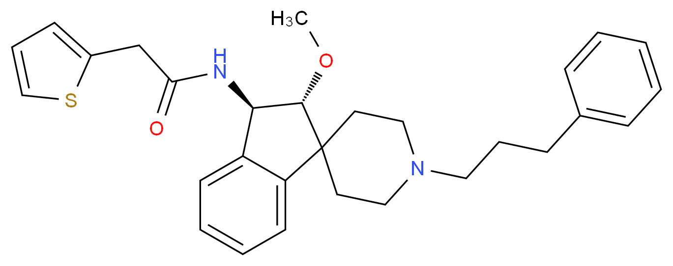  分子结构