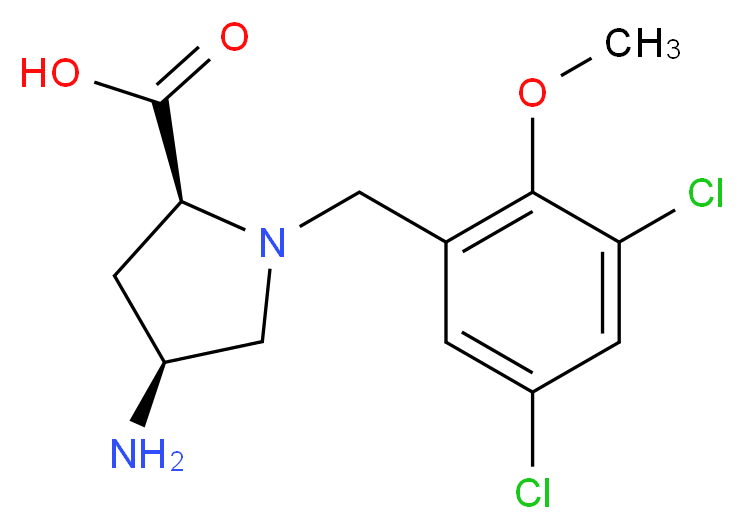 CAS_ 分子结构