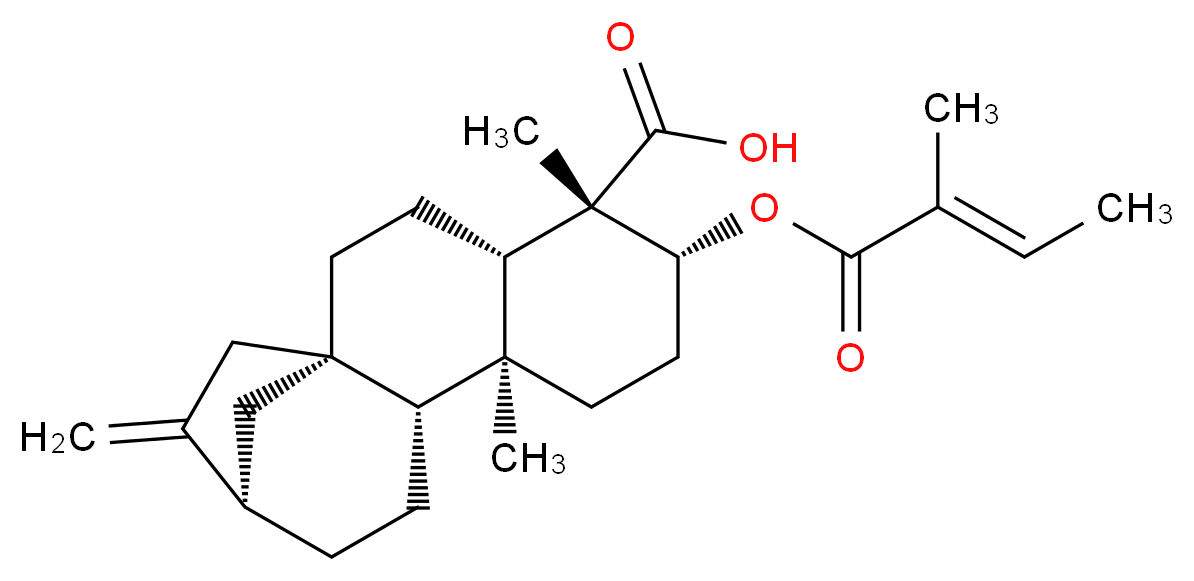 CAS_79406-09-0 molecular structure