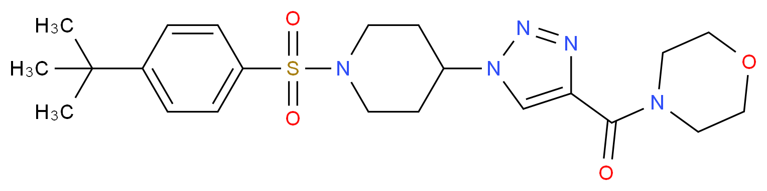  分子结构