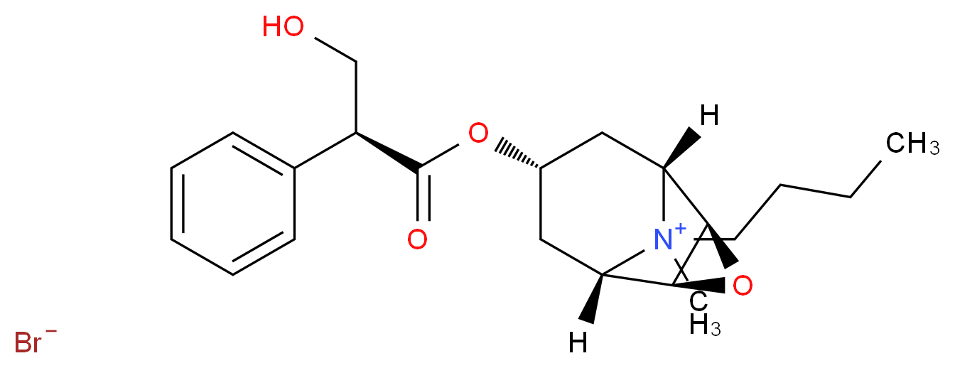 (1R,2R,4S,5S,7R)-9-butyl-7-{[(2S)-3-hydroxy-2-phenylpropanoyl]oxy}-9-methyl-3-oxa-9-azatricyclo[3.3.1.0^{2,4}]nonan-9-ium bromide_分子结构_CAS_149-64-4