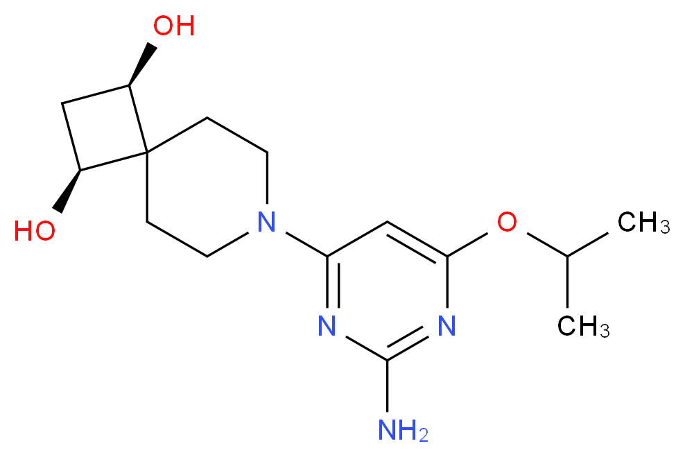  分子结构