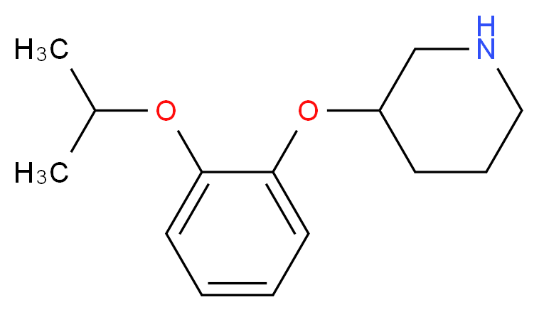 3-[2-(propan-2-yloxy)phenoxy]piperidine_分子结构_CAS_902837-37-0