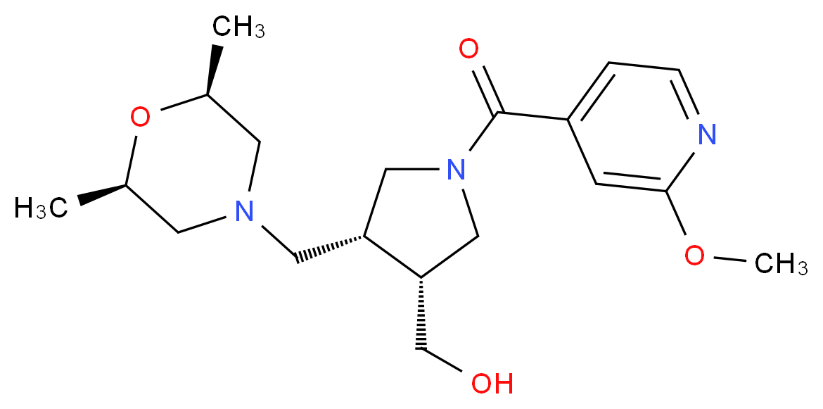  分子结构