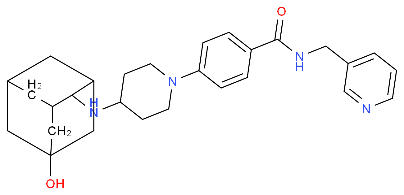  分子结构