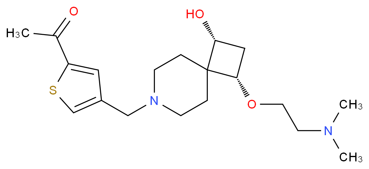 分子结构