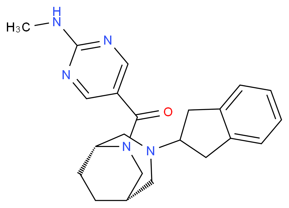  分子结构