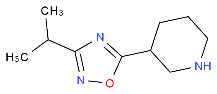 3-[3-(propan-2-yl)-1,2,4-oxadiazol-5-yl]piperidine_分子结构_CAS_902837-19-8