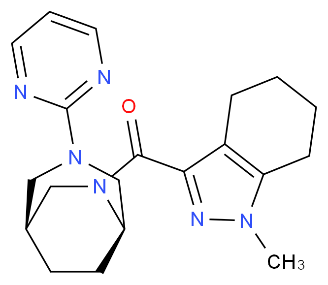  分子结构