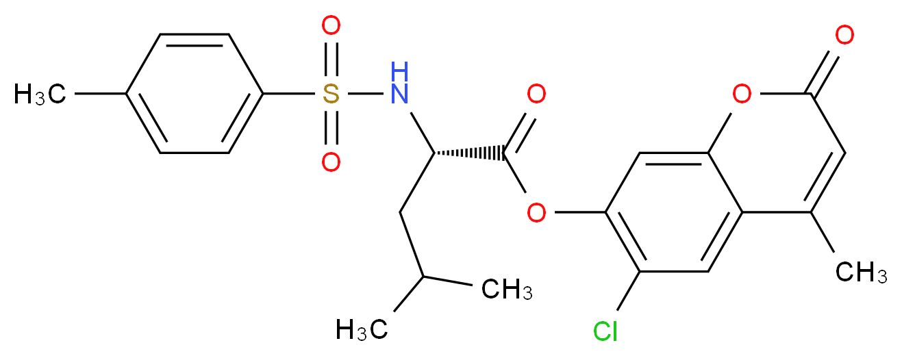 164254262 分子结构