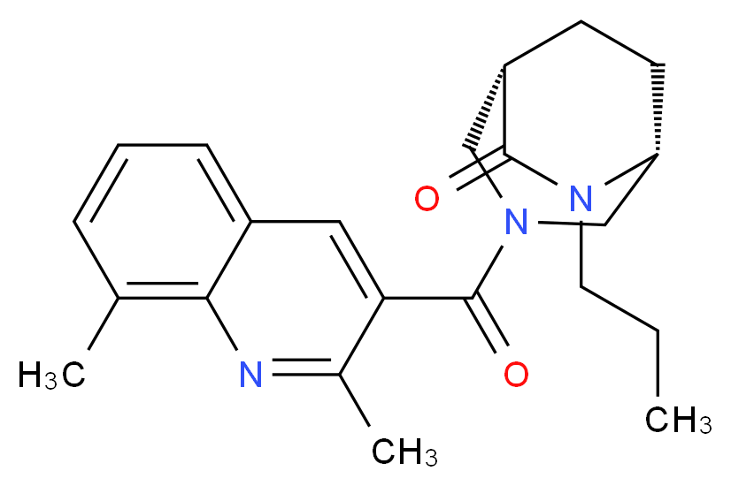  分子结构