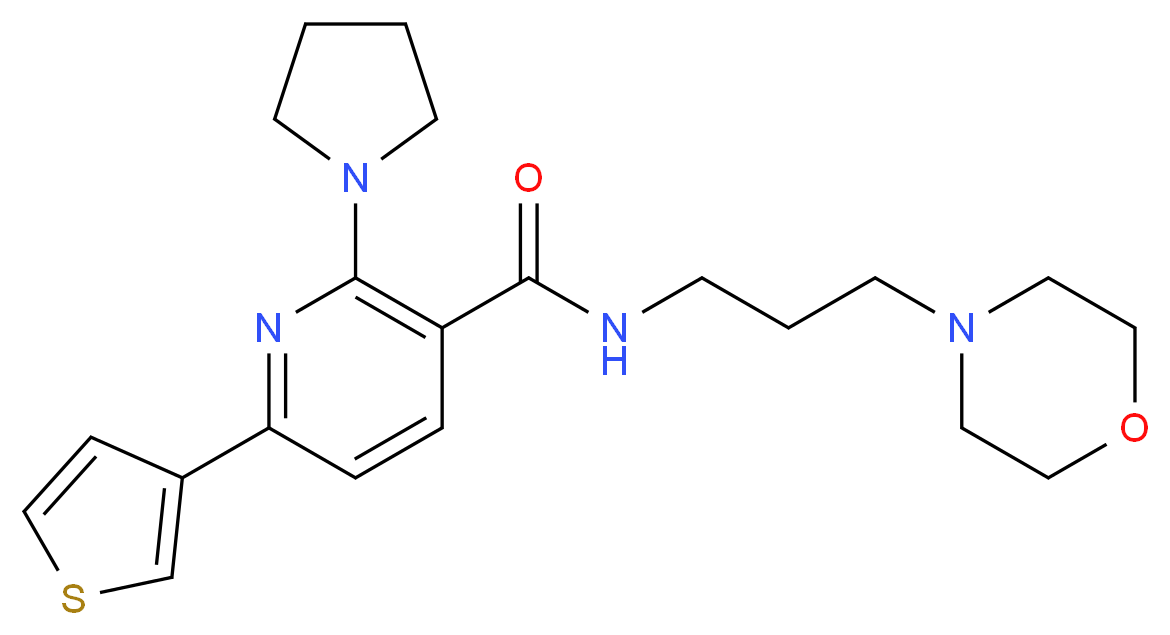  分子结构