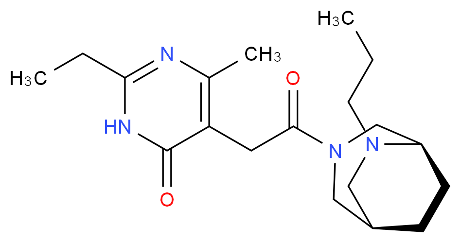  分子结构