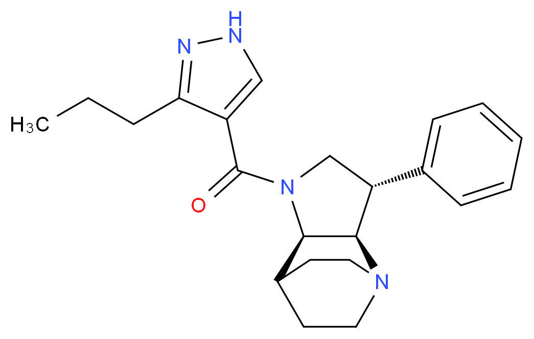  分子结构