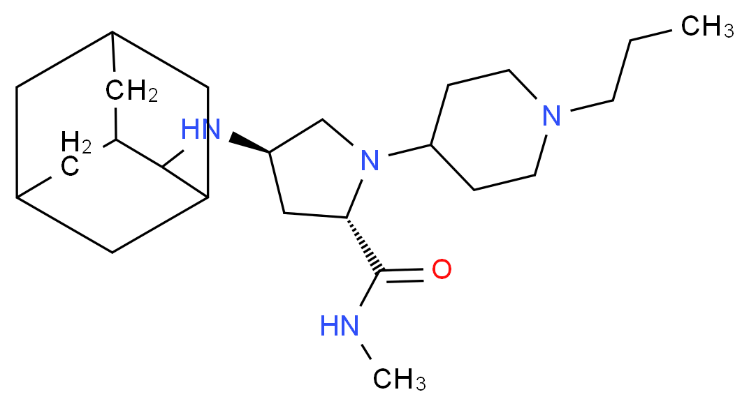  分子结构