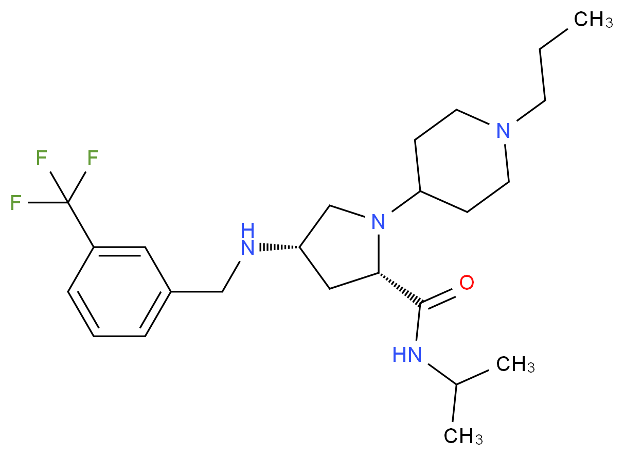 CAS_ 分子结构