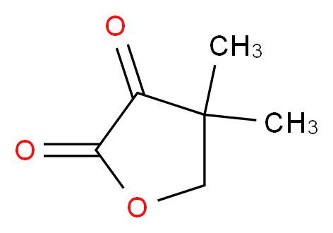 4,4-dimethyloxolane-2,3-dione_分子结构_CAS_13031-04-4