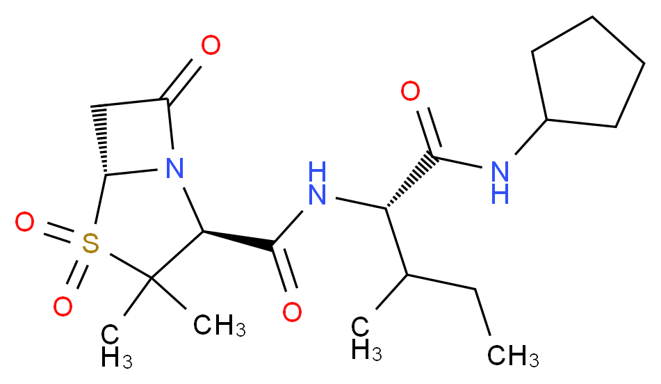 CAS_ 分子结构