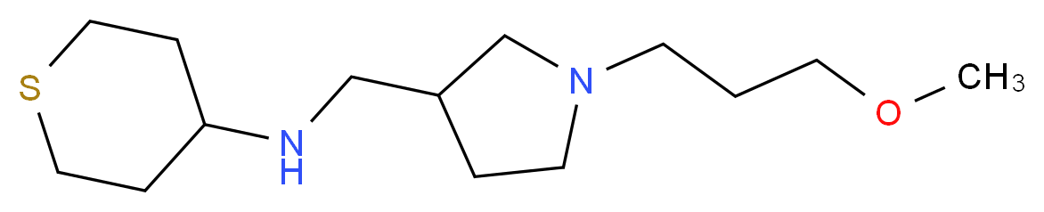 N-{[1-(3-methoxypropyl)pyrrolidin-3-yl]methyl}tetrahydro-2H-thiopyran-4-amine_分子结构_CAS_)