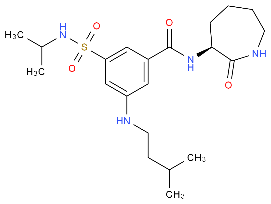 CAS_ 分子结构