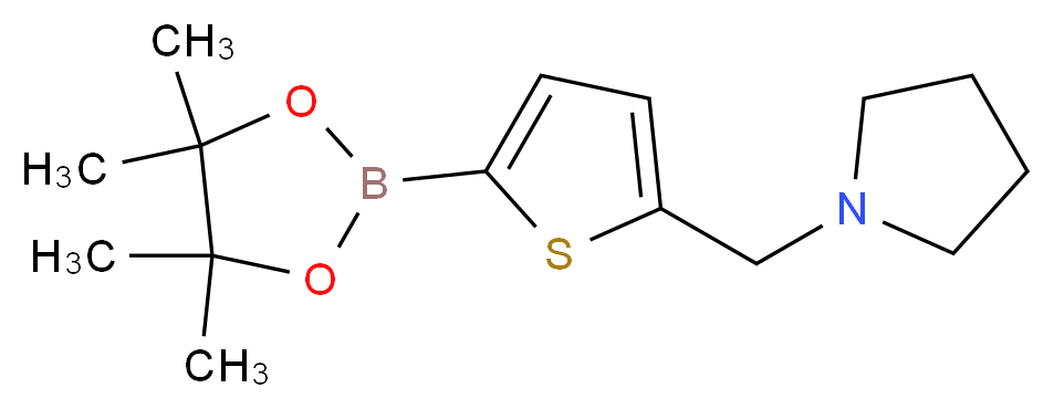 1-{[5-(tetramethyl-1,3,2-dioxaborolan-2-yl)thiophen-2-yl]methyl}pyrrolidine_分子结构_CAS_1218790-45-4