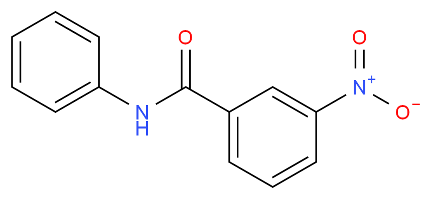 3-nitro-N-phenylbenzamide_分子结构_CAS_2243-73-4