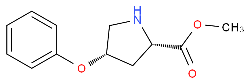 (2S,4S)-methyl 4-phenoxypyrrolidine-2-carboxylate_分子结构_CAS_113949-37-4)