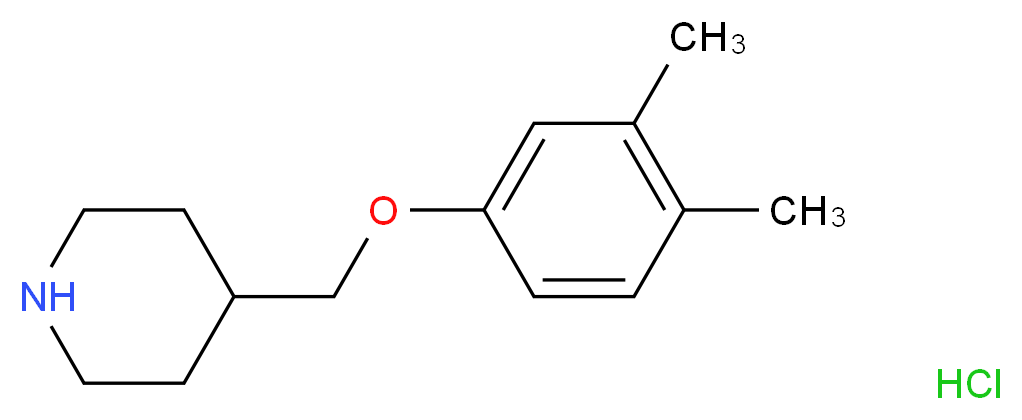 4-[(3,4-Dimethylphenoxy)methyl]piperidine hydrochloride_分子结构_CAS_)