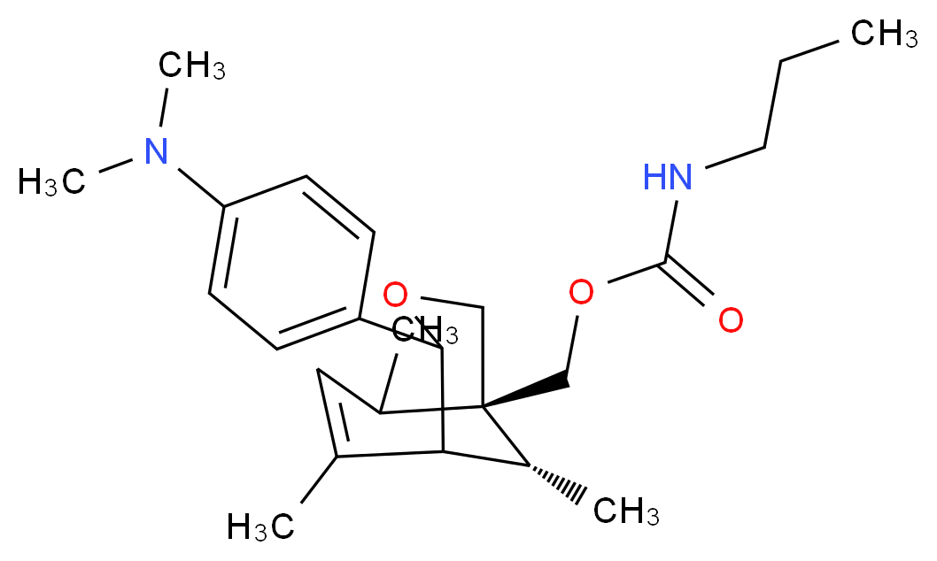 CAS_ 分子结构
