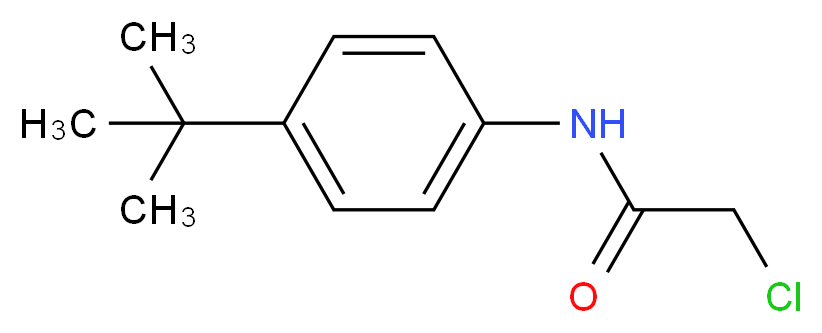 N-(4-tert-butylphenyl)-2-chloroacetamide_分子结构_CAS_20330-46-5)