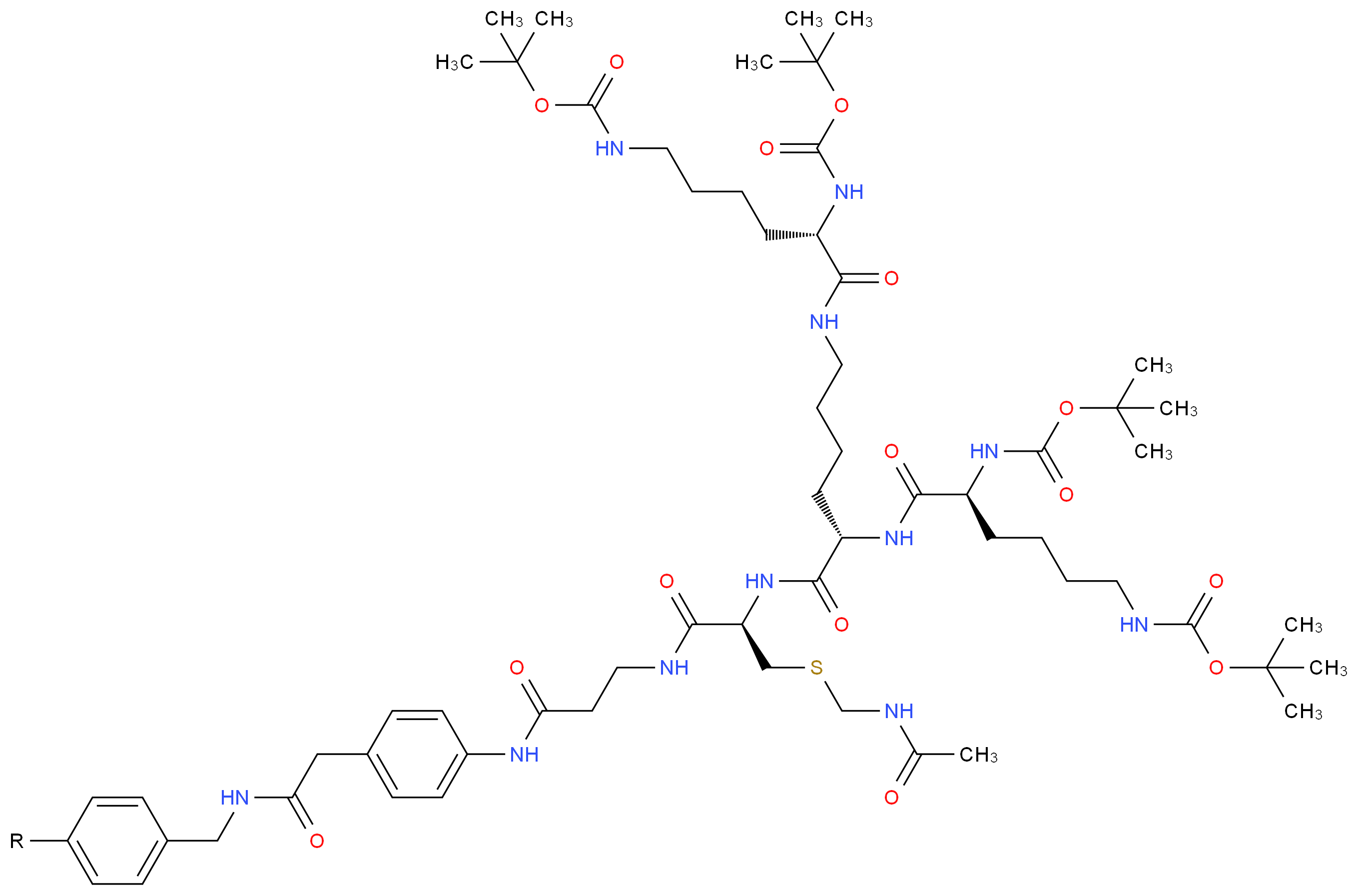CAS_ 分子结构