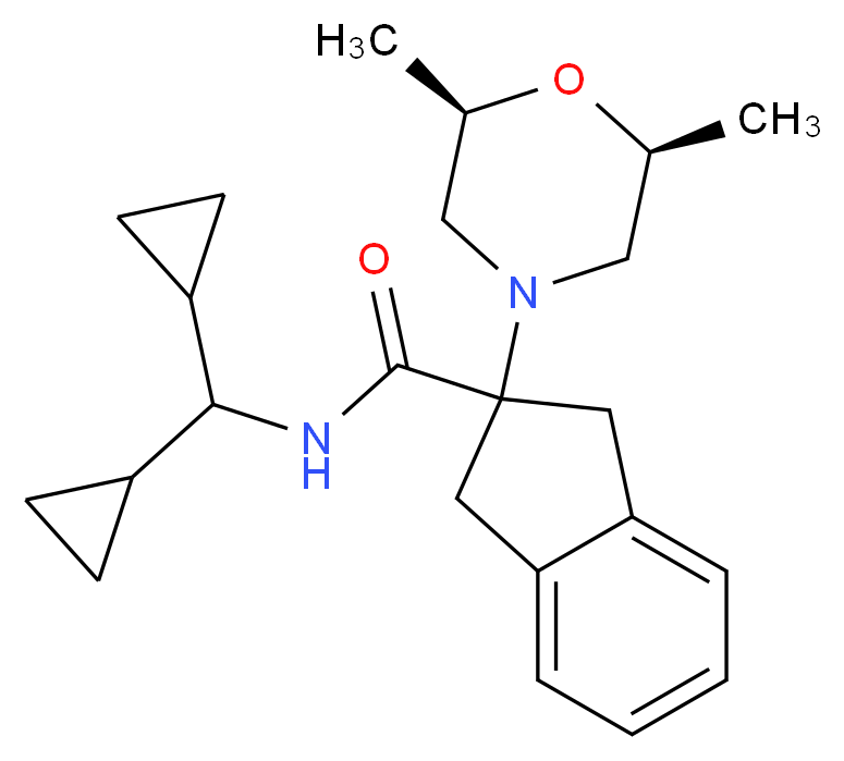  分子结构