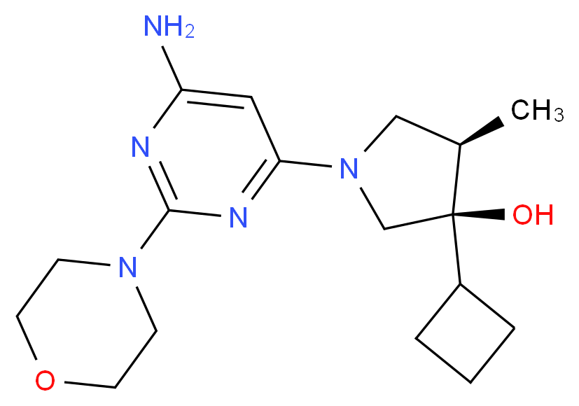  分子结构